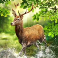 女体DOTA手游《刀塔女神》今日不删档内测